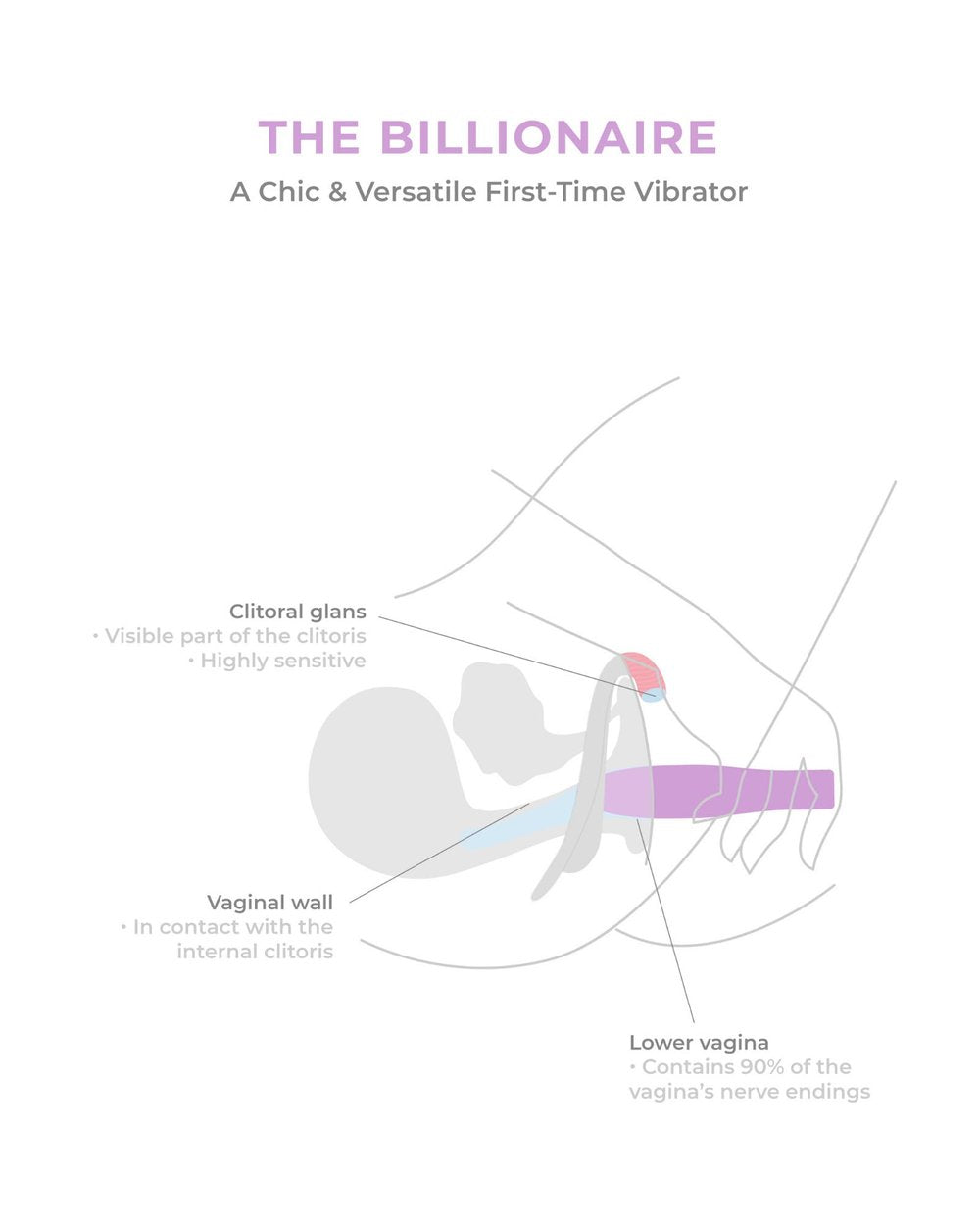 The Billionaire